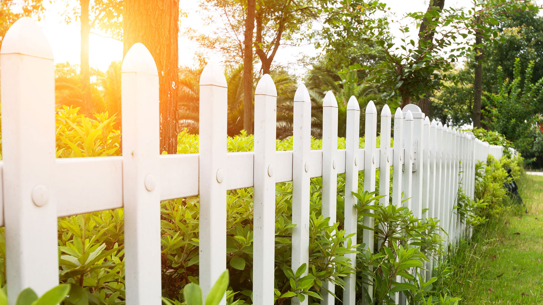 Shenandoah HOA (Cedar Hill) cover